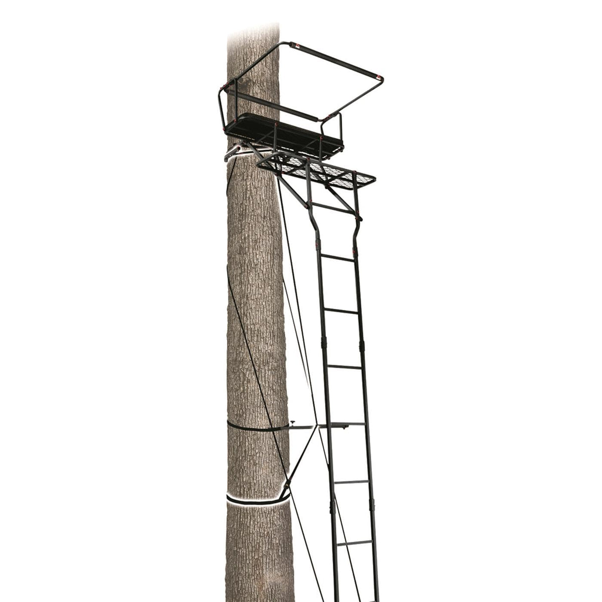 15’ Two-Person Ladder Tree Stand H6842