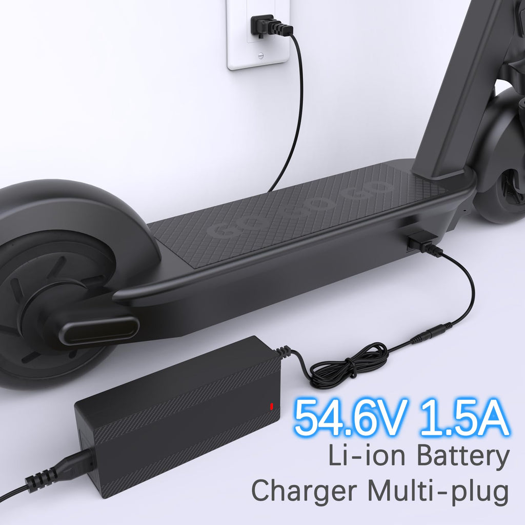 54.6V 1.5A Electric Bike & Scooter Charger H5765