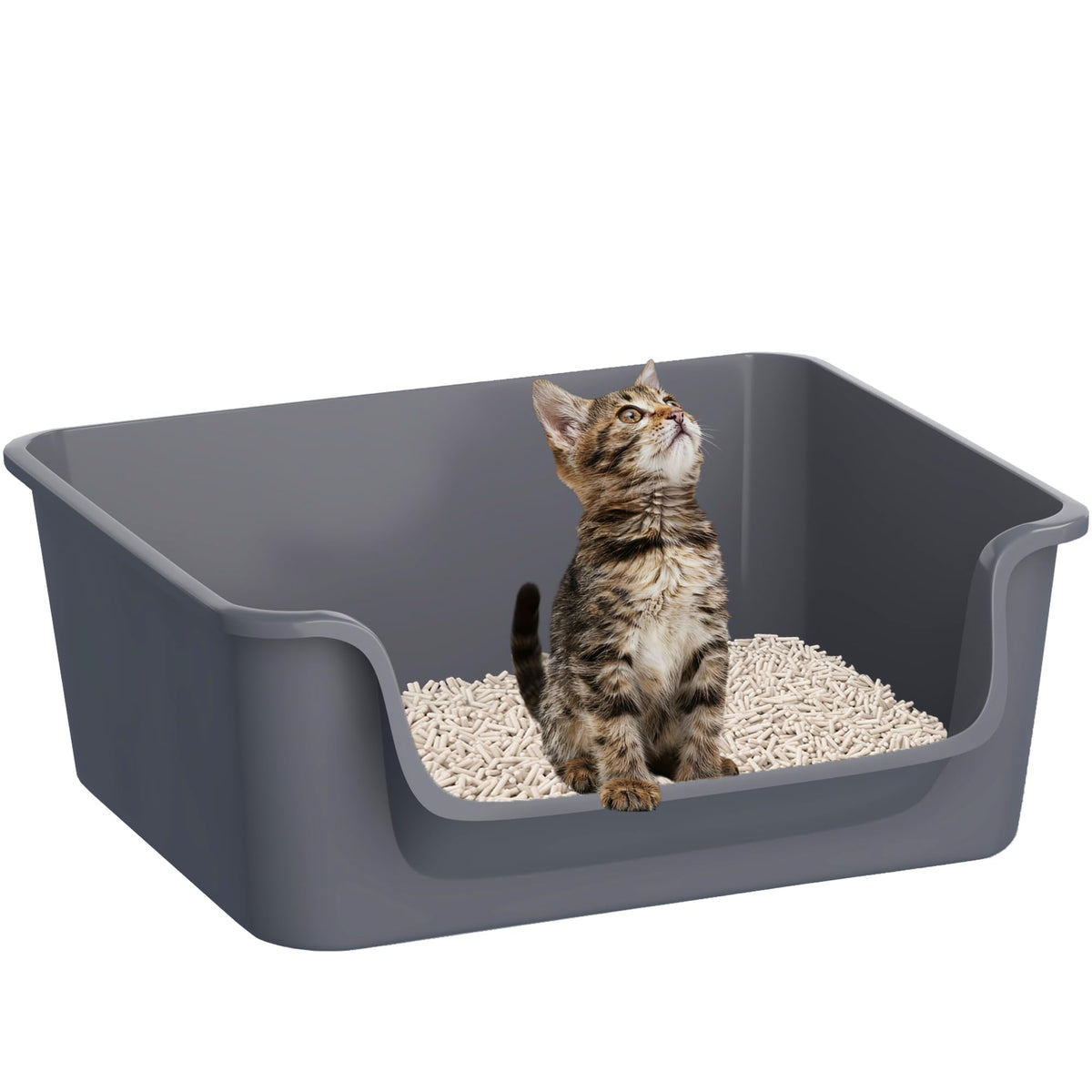 Open-Top High Sides Cat Litter Box with Low Entrance J933