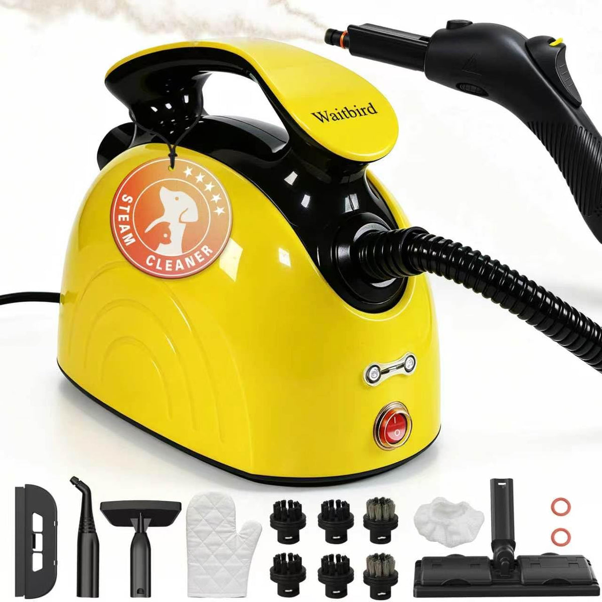 4.5 Bar 300°F Steam Cleaner A3979