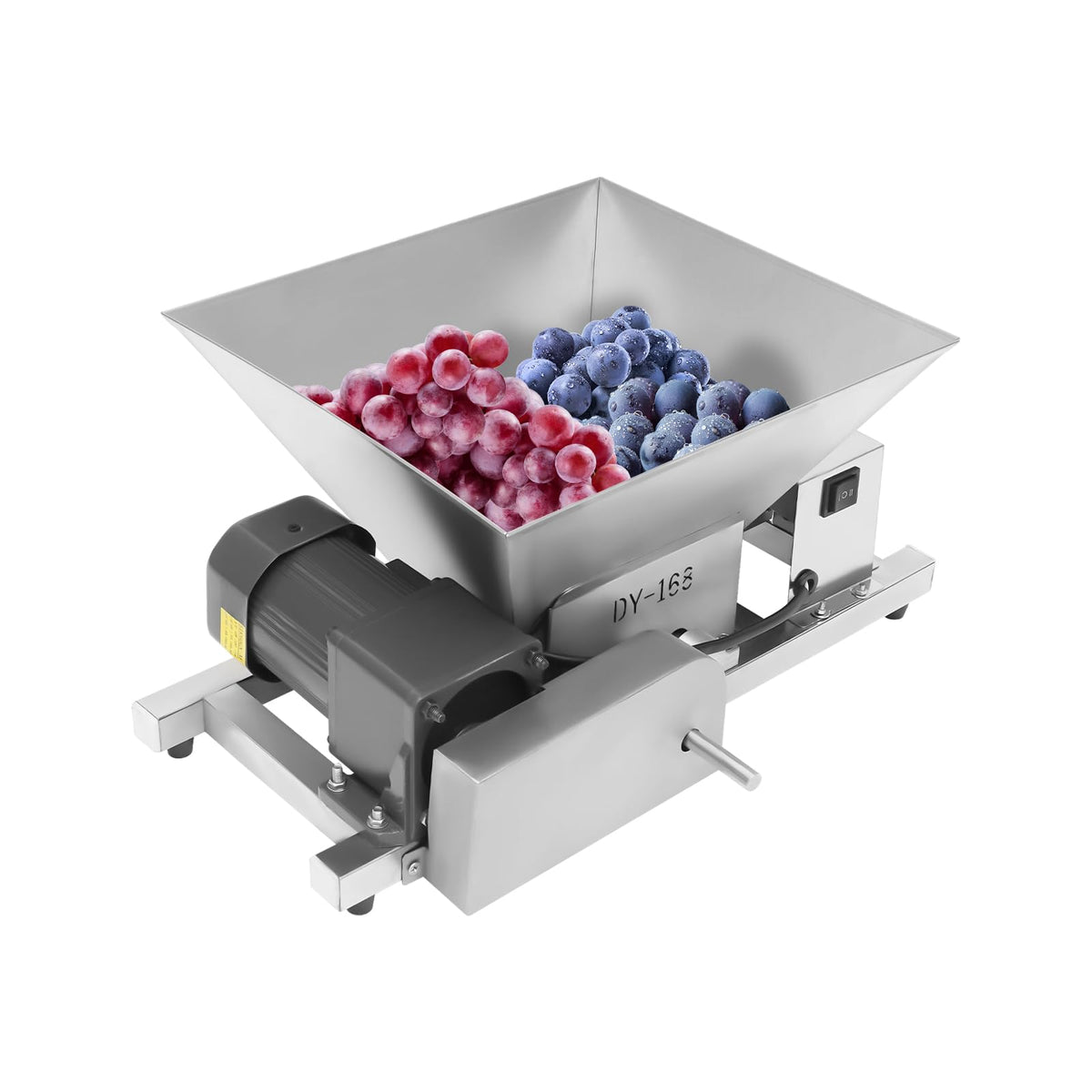 4L 60W Fruit Crusher R581