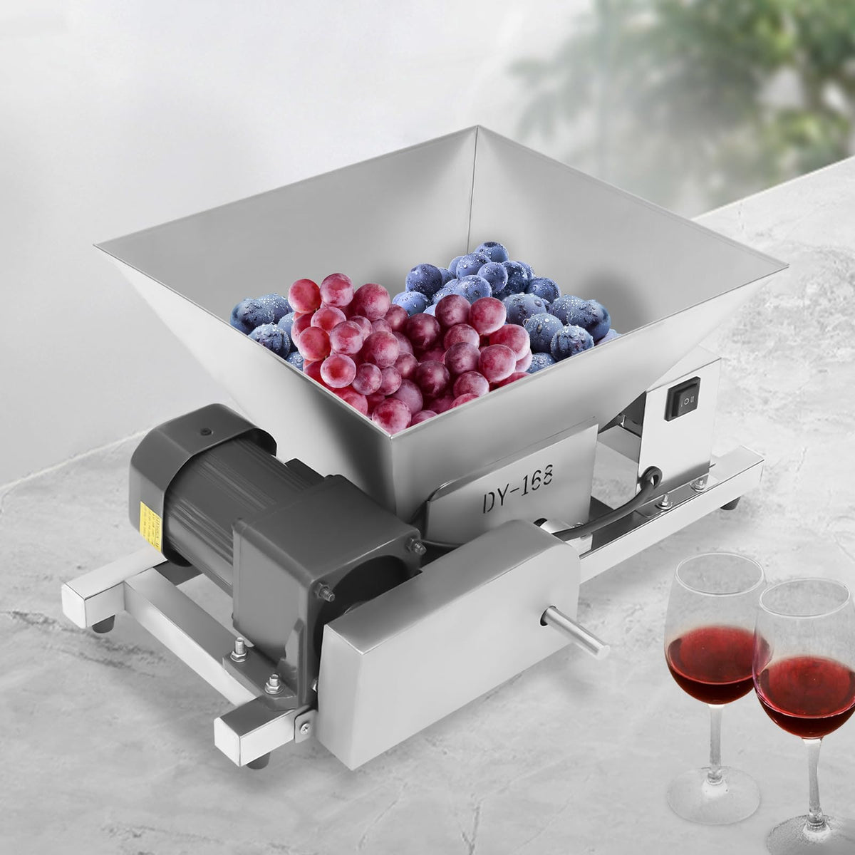 4L 60W Fruit Crusher R581