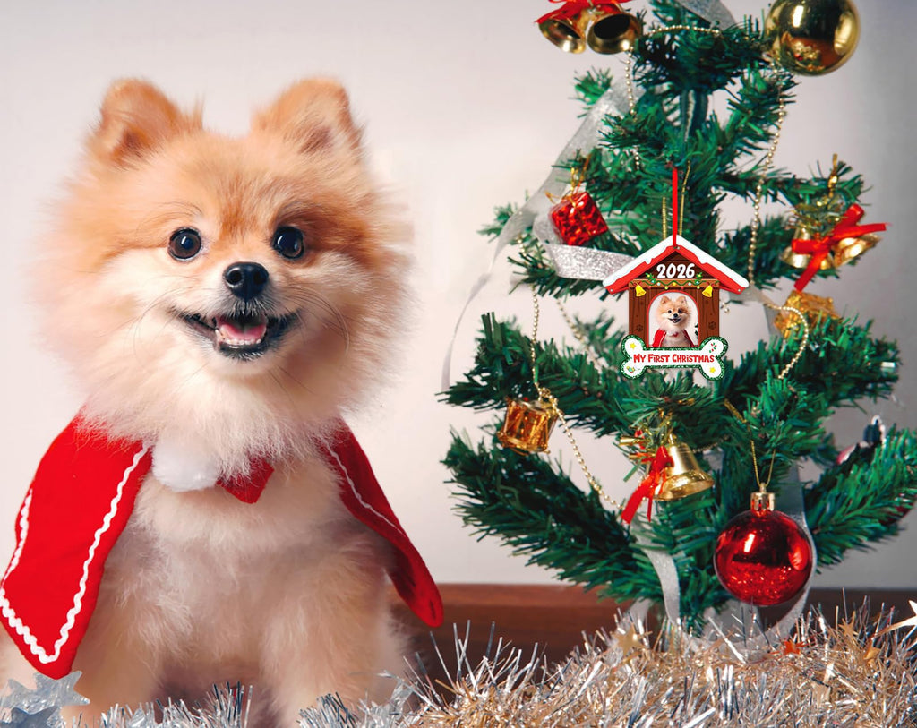Dog Picture Frame Ornament G1499