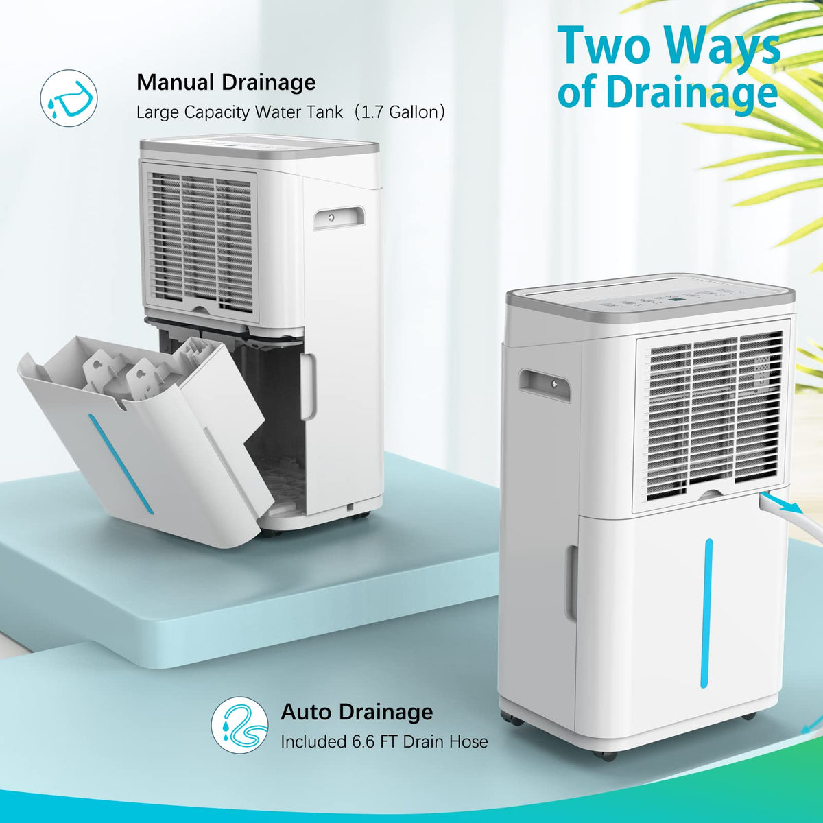 50 Pint Dehumidifier with Drain Hose W62319