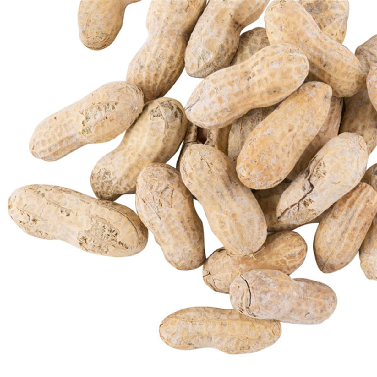 Roasted Salted in-Shell Peanuts 25 lb K574530