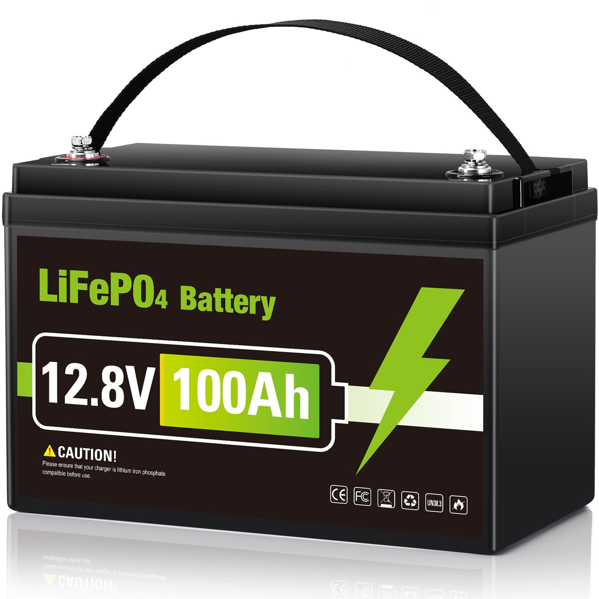 12V 100AH LiFePO4 Lithium Battery R649