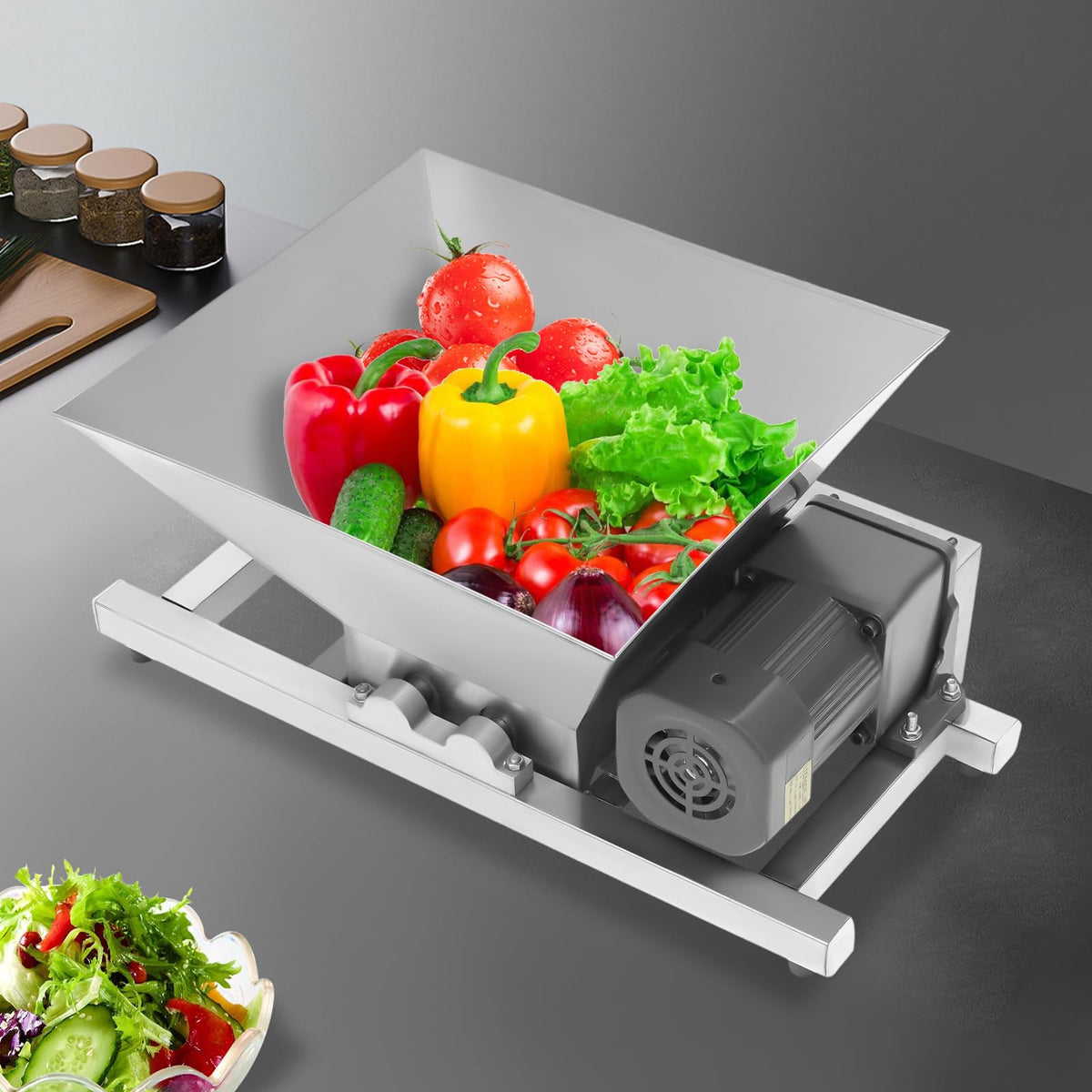 4L 60W Fruit Crusher R581