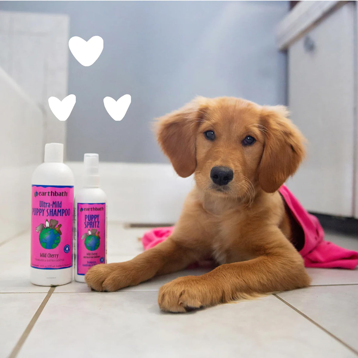 Wild Cherry Puppy Shampoo 16 Oz V8808
