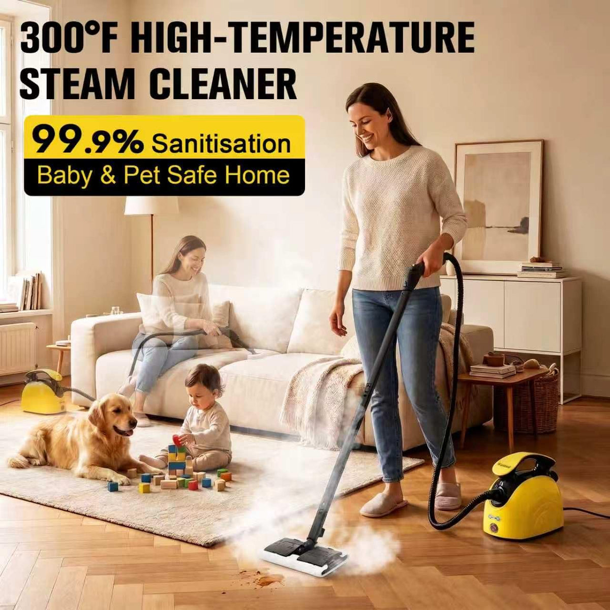 4.5 Bar 300°F Steam Cleaner A3979