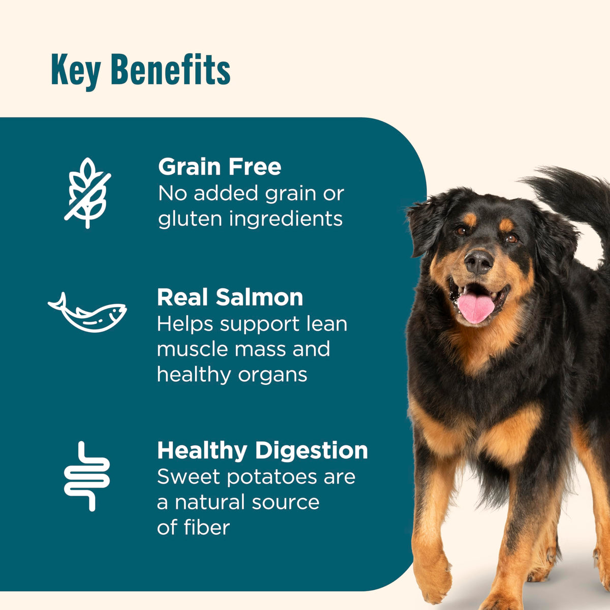 Grain Free Salmon Dry Dog Food 23 lb. Bag W559561