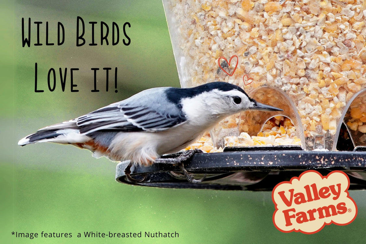 Cracked Corn Wild Bird Food 20 LB T91147