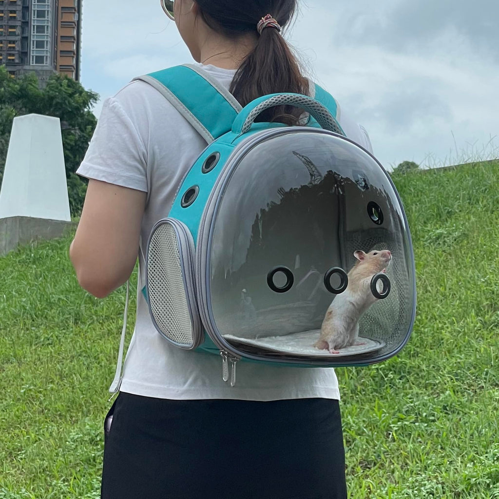 Portable Pet Backpack Carrier (Green) R213430