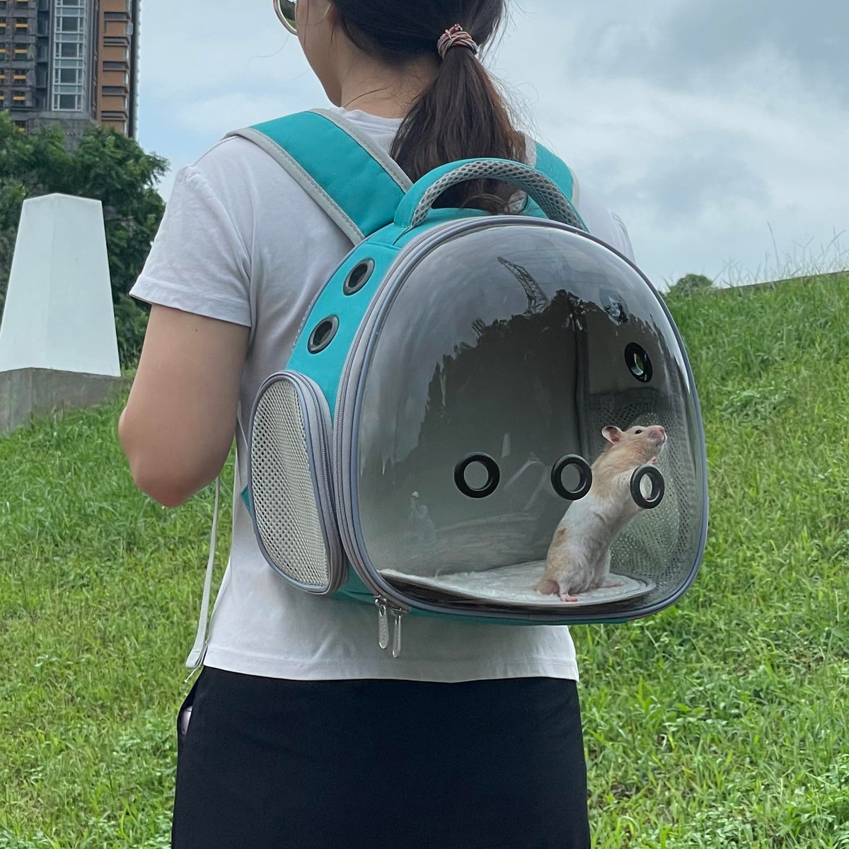 Portable Pet Backpack Carrier (Green) R213430
