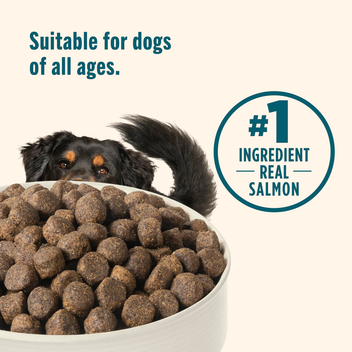 Grain Free Salmon Dry Dog Food 23 lb. Bag W559561