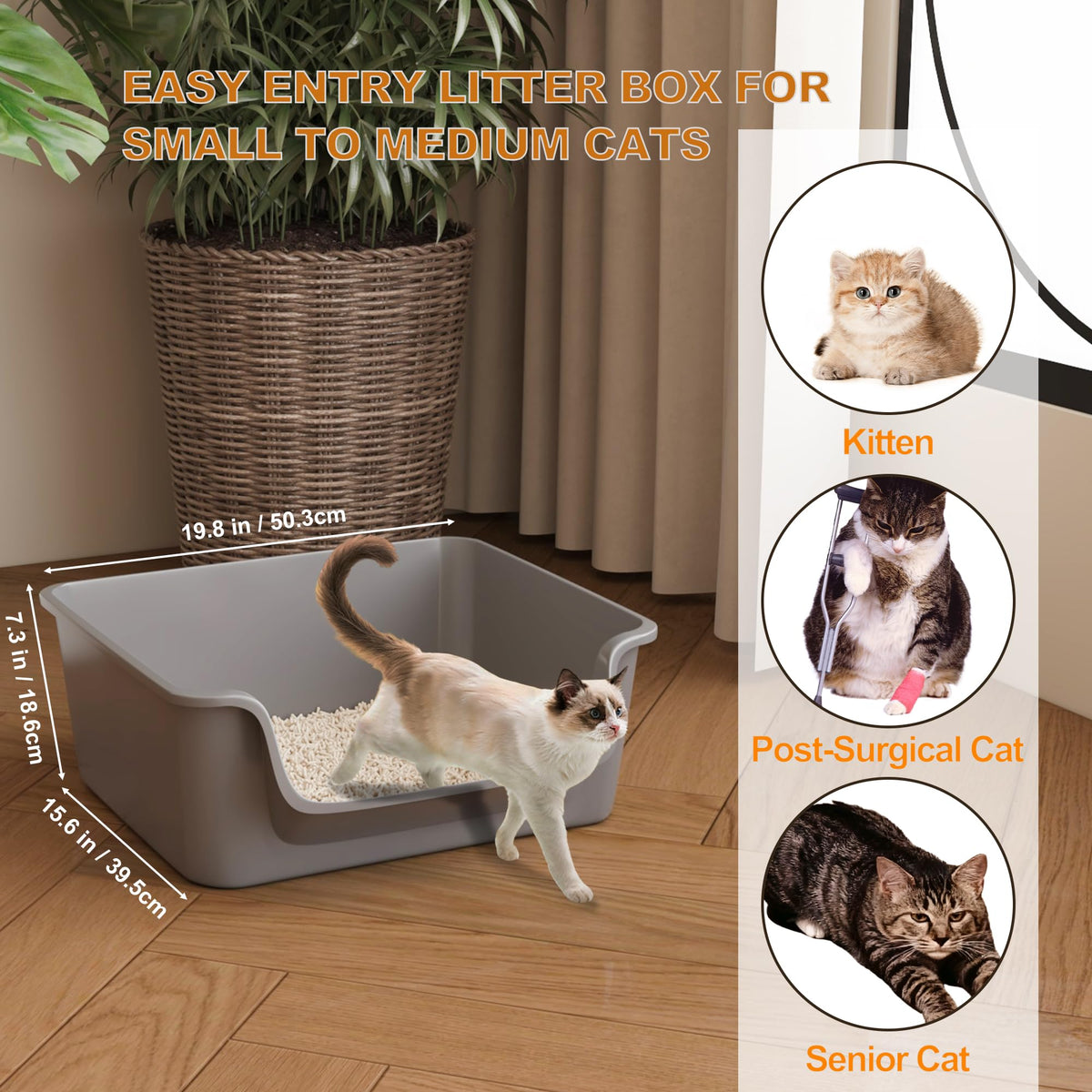 Open-Top High Sides Cat Litter Box with Low Entrance J933