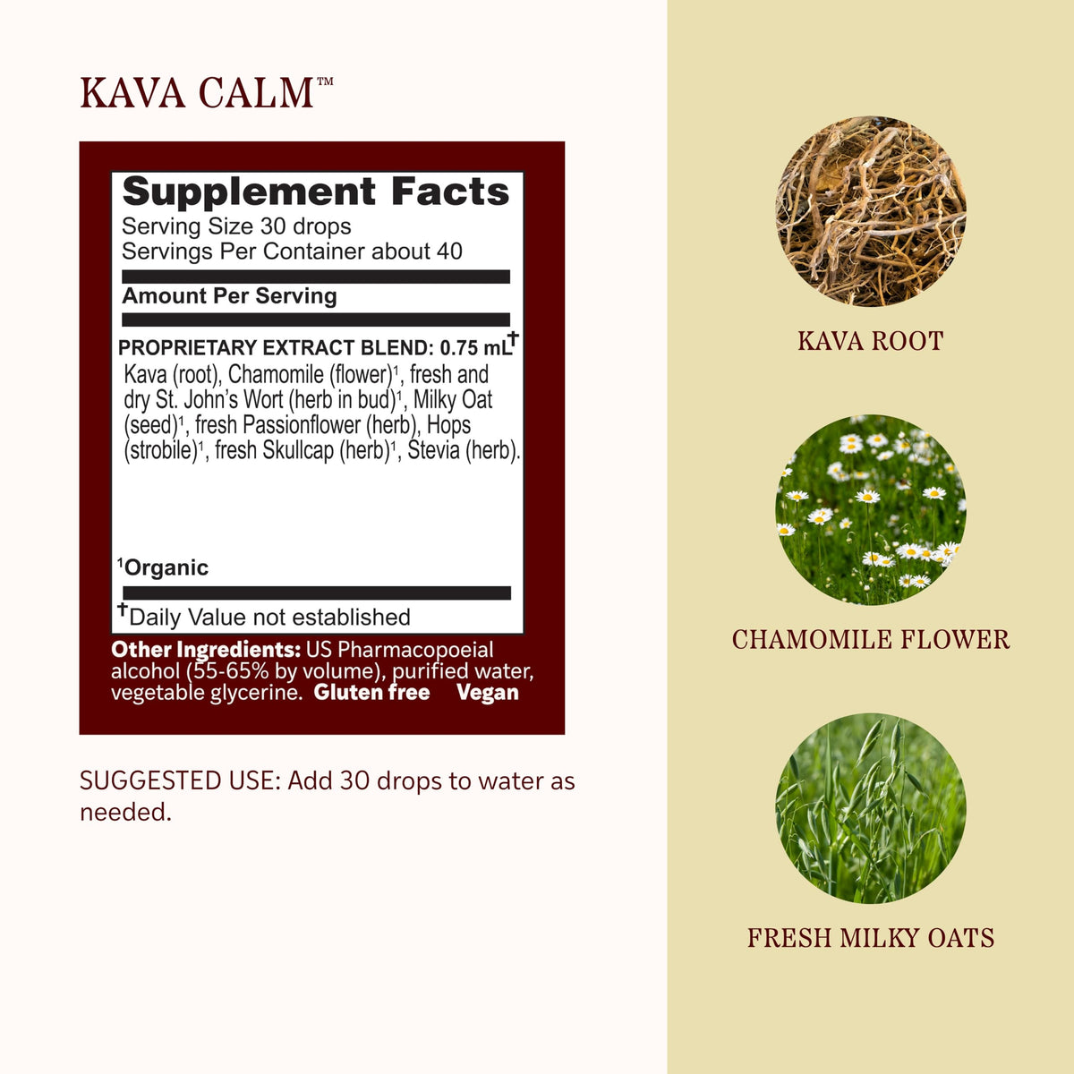 Kava Calm Liquid Extract 1 fl oz X354